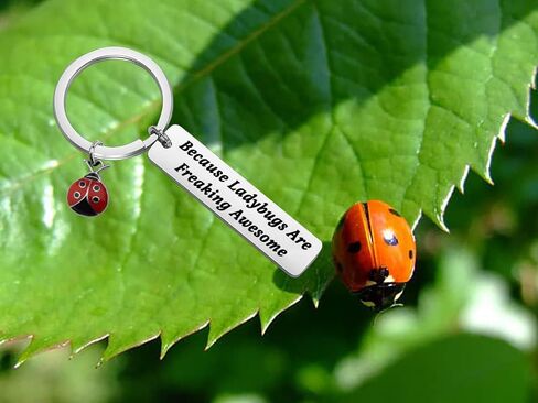 HOLLP Ladybug Jewelry Lady Beetle هدية لأن الخنفساء هي سلسلة مفاتيح رائعة جدًا للبستاني in Kuwait