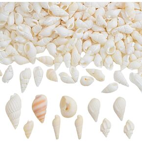 700pcs Small White Clam Cay Seashells Natural Tiny Sea Shell Mini Spiral Conch Shells Crafts Charm Accessories for DIY Fish Tank Vase Fillers Home Beach Party Decorations