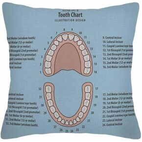 Throw Pillow Covers Pink Education Tooth Chart Number Infographic on Blue Dental Human Anatomy Pillow Case 18x18 Inch Cushion Cover for Home Party
