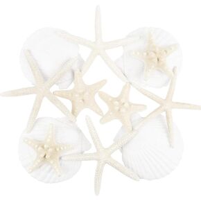 12 PCS Large Starfish and Large Scallop Shells, 2"-5" Natural White Seashells for Crafts Wedding Decor Beach Theme Party, Fish Tank and Vase Filler