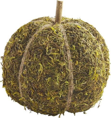 Mud Pie Preserved Moss Pumpkin, Large Table Sitters in Saudi Arabia
