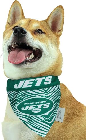 Zubaz NFL Team Reversible Pet Bandana for Dogs & Cats, Arizona Cardinals, Small/Medium in Kuwait