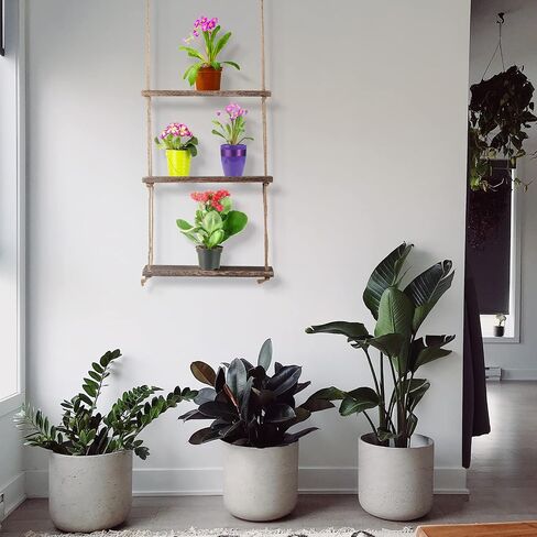 Nuanchu 2 Pieces Decorative Wall Hanging Shelves Window Shelf for Plants 3 Tier Distressed Rustic Home Decor Wood Rope Shelf Floating Indoor Wall Swing Hanging Plant Shelves for Living Room Bathroom in Saudi Arabia
