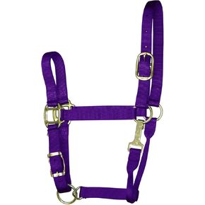 Hamilton 1-Inch Nylon Adjustable Quality Halter with Chin Snap for 800 to 1100-Pound Horse, Average, Purple