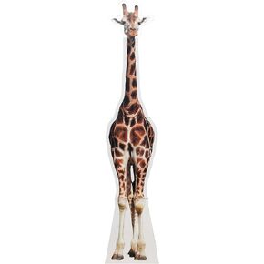 aahs!! Engraving Animal Life Size Cardboard Cutout Stand Up | Standee Picture Poster Photo Print (Giraffe)