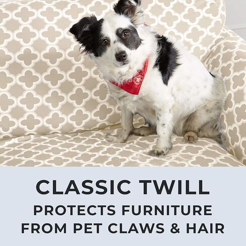 غطاء كرسي ذو ذراع مطاطي من القطيفة المخملية. واقي أثاث الكرسي المخملي، ناعم مضاد للانزلاق، عالي التمدد (كرسي، رمادي حمامة برية - ندفة الثلج) in Kuwait