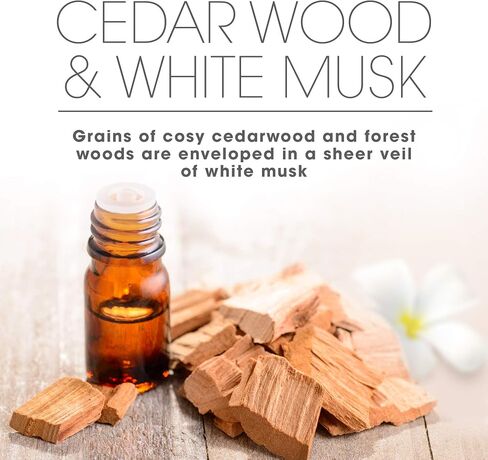 Air Wick Scented Reed Diffuser Cedar Wood and White Musk Fragrance (Warning: Do Not Burn) in Saudi Arabia