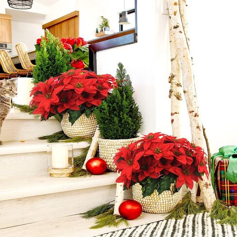 FERIAL 4 Pcs Christmas Artificial Flowers Poinsettia Flowers Red 7 Heads Silk Poinsettia Christmas Floral Bouquet Winter Artificial Poinsettia Bushes for Xmas Party Holiday Arrangements Decoration… in Kuwait