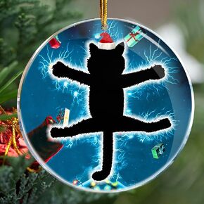 Fried Cat Christmas Vacation - Christmas Ornaments - Christmas Decorations - Christmas Tree Decorations Idea - Christmas Vacation Decorations