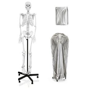 Vision Scientific VAS215-DC Medical Grade, Full Size Skeleton W Hand Painted Muscles & Ligaments | Thick Zip Dust Cover | Skeleton Wired for Natural Movement | Mounted on Roller Stand W Manual