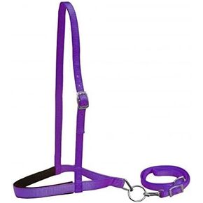 Showman Premium Nylon Noseband Tie Down w/Strap