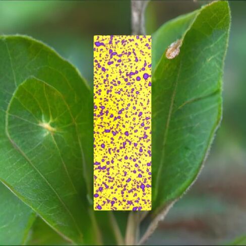 FGI SpotOn Water Sensitive Paper (WSP) for Sprayer Calibration - One Pack of 2 x3 Paper - 25 Sheets Per Pack - Reduce Waste and Ensure Consistent Application of Spray Droplets - Assess Spray Coverage in Saudi Arabia