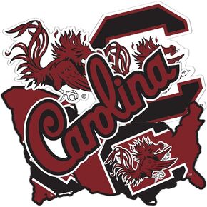 Desert Cactus University of South Carolina Gamecocks USC Cocky Stickers Vinyl Decals Laptop Water Bottle Car Scrapbook 13.5x11 Sheet T2 (Type 2-4)