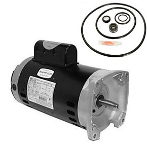 Puri Tech Replacement Motor Kit for Sta-Rite Dura-Glas ll 2HP P4EA6G-152L Century Electric USQ1202 with GO-KIT-38