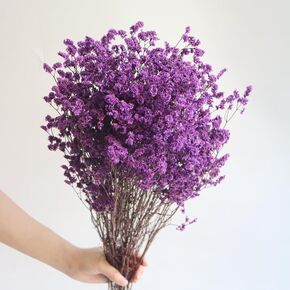 19-23inch Preserved Natural Crystal Grass Bouquet, 25+ Stems Real Fresh Caspia Bellidifolium, Sea Lavender, Baby Breath Flowers, for Wedding Birthday,Home Décor(Purple)