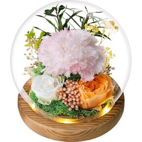 Immortal Beauties – The Ultimate Preserved Flower Collection for All Occasions, Send Your Love with Birthday Flowers and Sympathy Flowers, A Forever Flower Gift for That Special Someone