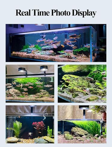 UPETTOOLS كامل الطيف 70 وات ضوء حوض السمك، مشبك على سطوع قابل للتعديل COB LED حوض للأسماك ضوء النبات مع محول ووظيفة الموقت للخزان المزروع in Kuwait
