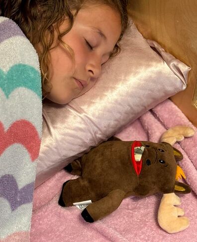 Twigs Moose 8" Tooth Fairy Pillow, Fun and Interactive Plush Toy with Pocket for Lost Teeth in Kuwait