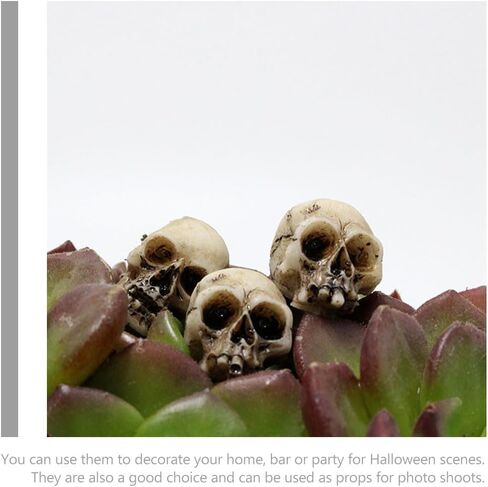 20 قطعة تمثال جماجم صغيرة للهالوين تمثال الهيكل العظمي للهالوين تمثال مصغر لرأس الهيكل العظمي لتزيين سطح المكتب للهالوين in Kuwait