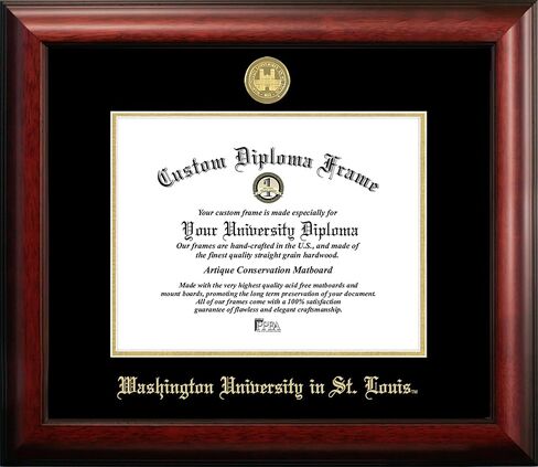 Campus Images MO997GED Washington University in St. Louis Embossed Diploma Frame, 8.5" x 11", Gold in Saudi Arabia