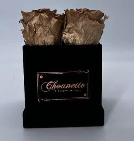ورود Chounette المحفوظة - L' ETONNANTE - 4 ورود ذهبية داكنة محفوظة في صندوق مخملي أسود - ورود أبدية - تدوم طوال العام in Saudi Arabia
