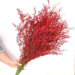 باقة ليمونيوم طبيعية محفوظة مقاس 19-23 بوصة، 28+ ينبع حقيقي من كاسبيا بيليفوليوم، لافندر البحر، زهور نفس الطفل، لأعياد ميلاد الزفاف، ديكور المنزل (أحمر) in Kuwait