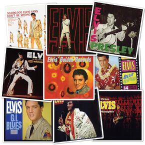 Desert Cactus Elvis Presley Stickers Sheet Vinyl Decal Crew Laptop Water Bottle Car Scrapbook 11.3x8.94 Sheet (Type 2) (Version 7)