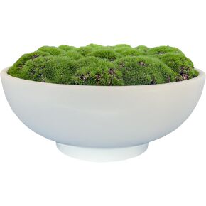 Moss Bowl | 10" Diameter | Artificial | Lightweight Ceramic Bowl | Home Décor