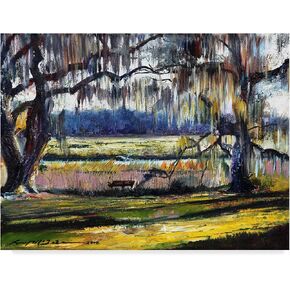 Trademark Fine Art, 14x19-Inch Lowcountry Spanish Moss Escape by Lucy P. Mctier
