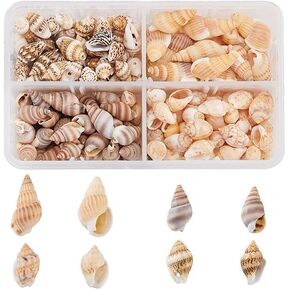 PandaHall About 70g/330pcs 4 Styles Spiral Shells, Ocean Beach Conch Seashells with Hole and No Hole for Bracelet Jewelry, Craft, Home Decoration, Fish Tank and Vase Filler