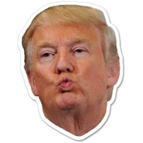 Donald Trump Face Vinyl Sticker - Select Size