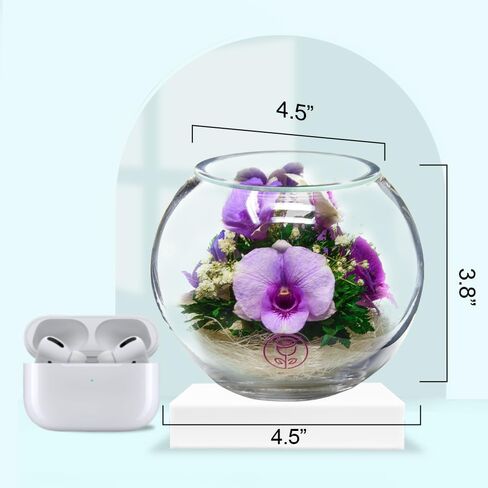 Premium Fresh Cut Preserved Orchid Bouquet in a Sealed Glass Vase | Long Lasting Bouquet Orchids Stays Fresh for 5+ Years | No Water Needed | Allergy Free | Unique Orchid Gifts for Women in Saudi Arabia
