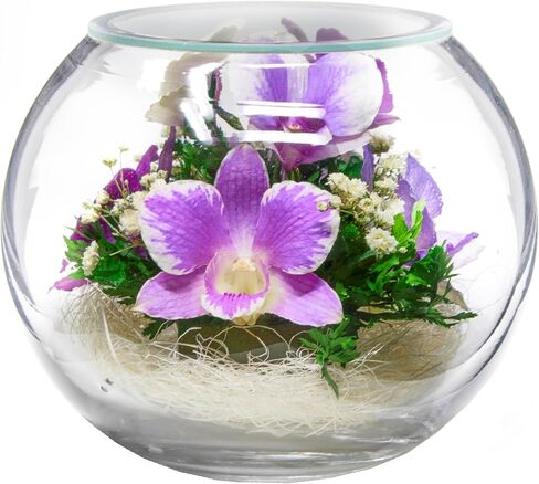 Premium Fresh Cut Preserved Orchid Bouquet in a Sealed Glass Vase | Long Lasting Bouquet Orchids Stays Fresh for 5+ Years | No Water Needed | Allergy Free | Unique Orchid Gifts for Women in Saudi Arabia