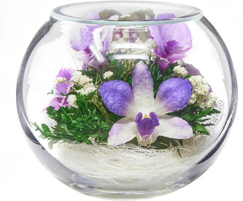 Premium Fresh Cut Preserved Orchid Bouquet in a Sealed Glass Vase | Long Lasting Bouquet Orchids Stays Fresh for 5+ Years | No Water Needed | Allergy Free | Unique Orchid Gifts for Women in Saudi Arabia