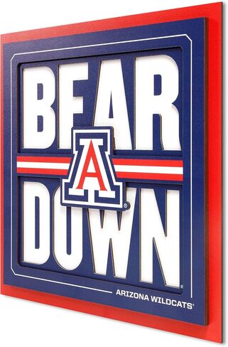 YouTheFan NCAA Arizona Wildcats Slogan Series 3D Wall Art in Saudi Arabia