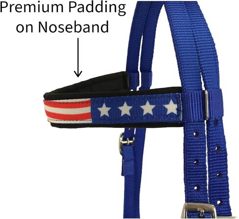 Tahoe Tack American Flag Double Layered Nylon Patriotic Padded Headstall, Reins and Breast Collar with Fringes 3 Items Set in Saudi Arabia