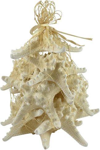 White Knobby Starfish Pack 12 pieces 4-6" inches in Saudi Arabia