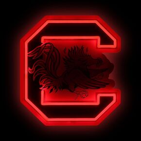 FOCO South Carolina Gamecocks NCAA Team Logo LED Neon Light Up Sign