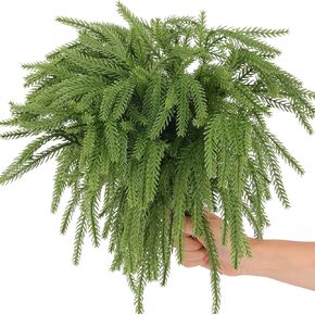 50 Pcs Christmas Norfolk Pine Picks, Norfolk Pine Artificial Christmas Branches DIY Crafts Faux Christmas Norfolk Pine Branches for Xmas Indoor Outdoor Home Decor (50)