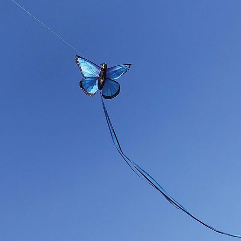 In the Breeze 3382 — Fancy Butterfly Kite — Colorful Easy-Flying Kite with Color-Coordinated Tails, Kite Line Included in Saudi Arabia