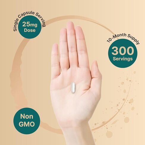 NatureBell DHEA 25mg, 300 Capsules | Micronized Grade for Better Absorption – Plant-Based DHEA Source – Supports Energy Levels & Healthy Aging for Men and Women – Non-GMO in Saudi Arabia