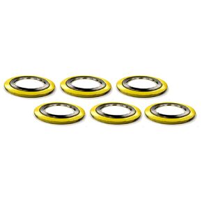 Sterling Seal SSI90005304GR600X6 Spiral Wound Gasket with Flexible Filler for 5" Pipe, Pressure Class 600#, 5.8125" ID, 9.5" OD, 304 SS Windings/Graphite/Carbon Steel Outer Ring (Pack of 6)