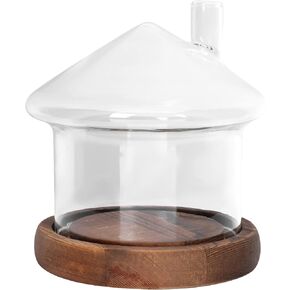 Cabilock Clear Glass Cloche Display Dome: Mushroom Shaped Glass Dome Bell Jar Enchanted Rose Small Beer Glasses Centerpieces Plants Rocks Specimens Snow Globes Crafts