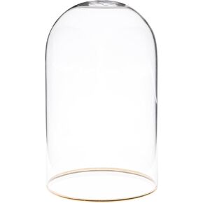 Plymor 4" x 7" Glass Display Dome Cloche with Gold Rim (no Base)