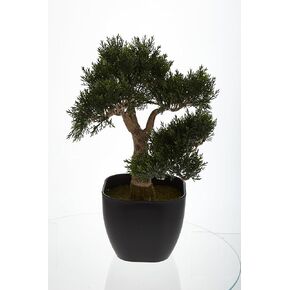 Nearly Natural 4966 Cedar Bonsai Artificial Tree, 15-Inch, Green