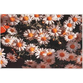 Chamomile Daisy Rug, Microfiber Soft 3x5, Eco-Friendly Ink Printing Realistic Rug, Machine Washable, Anti Slip, Waterproof Rug, Easy Clean Rug, Decor Throw Rugs For Bedroom, Kidsroom, Livingroom