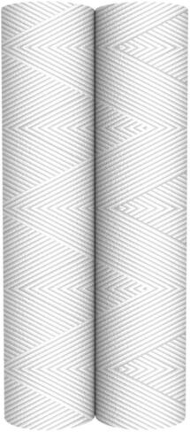Pentair OMNIFilter RS12 Sediment Water Filter, 10-Inch, Standard Whole House String Wound Sediment Replacement Filter Cartridge, 10" x 2.5", 20 Micron, Pack of 2 in Kuwait