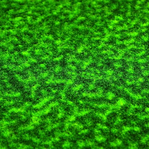 FANMATS NCAA Men,Unisex-Adult,Women Putting Green Mat in Saudi Arabia