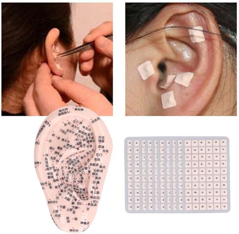 Ear Acupuncture Point Sticks Set, Silicone Ear Acupoint Model 17cm Ear Point Telescopic Probe Tweezers 600PCS Auricular Patches Ear Seed Acupressure Kit Ear Press Seeds Pressure Ears Stickers in Saudi Arabia