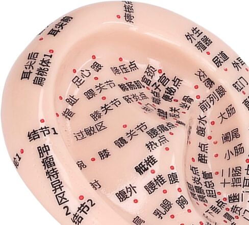 Ear Acupuncture Point Sticks Set, Silicone Ear Acupoint Model 17cm Ear Point Telescopic Probe Tweezers 600PCS Auricular Patches Ear Seed Acupressure Kit Ear Press Seeds Pressure Ears Stickers in Saudi Arabia